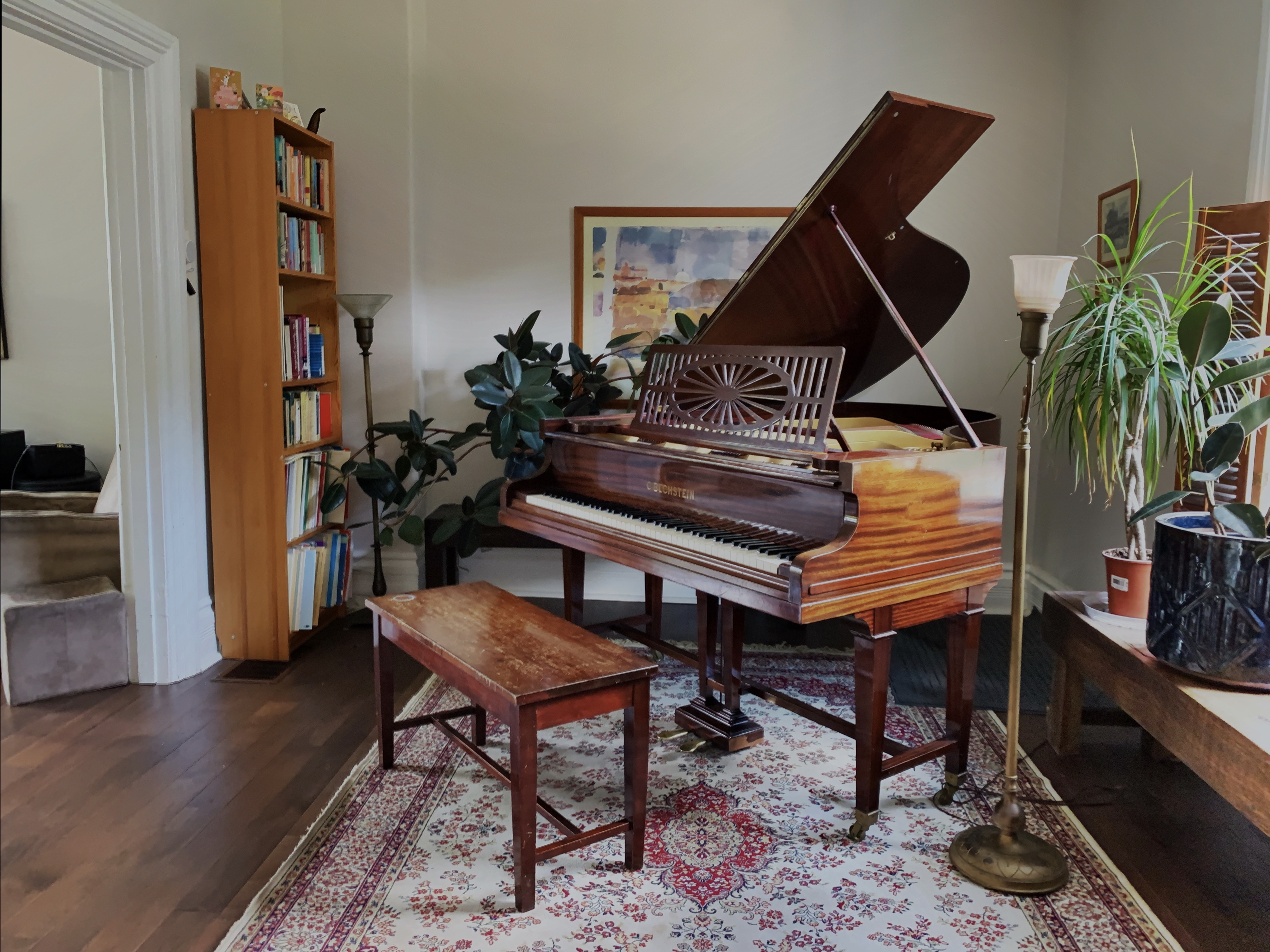 Eric Greenwood's classical piano studio in Guelph with Bechstein grand piano