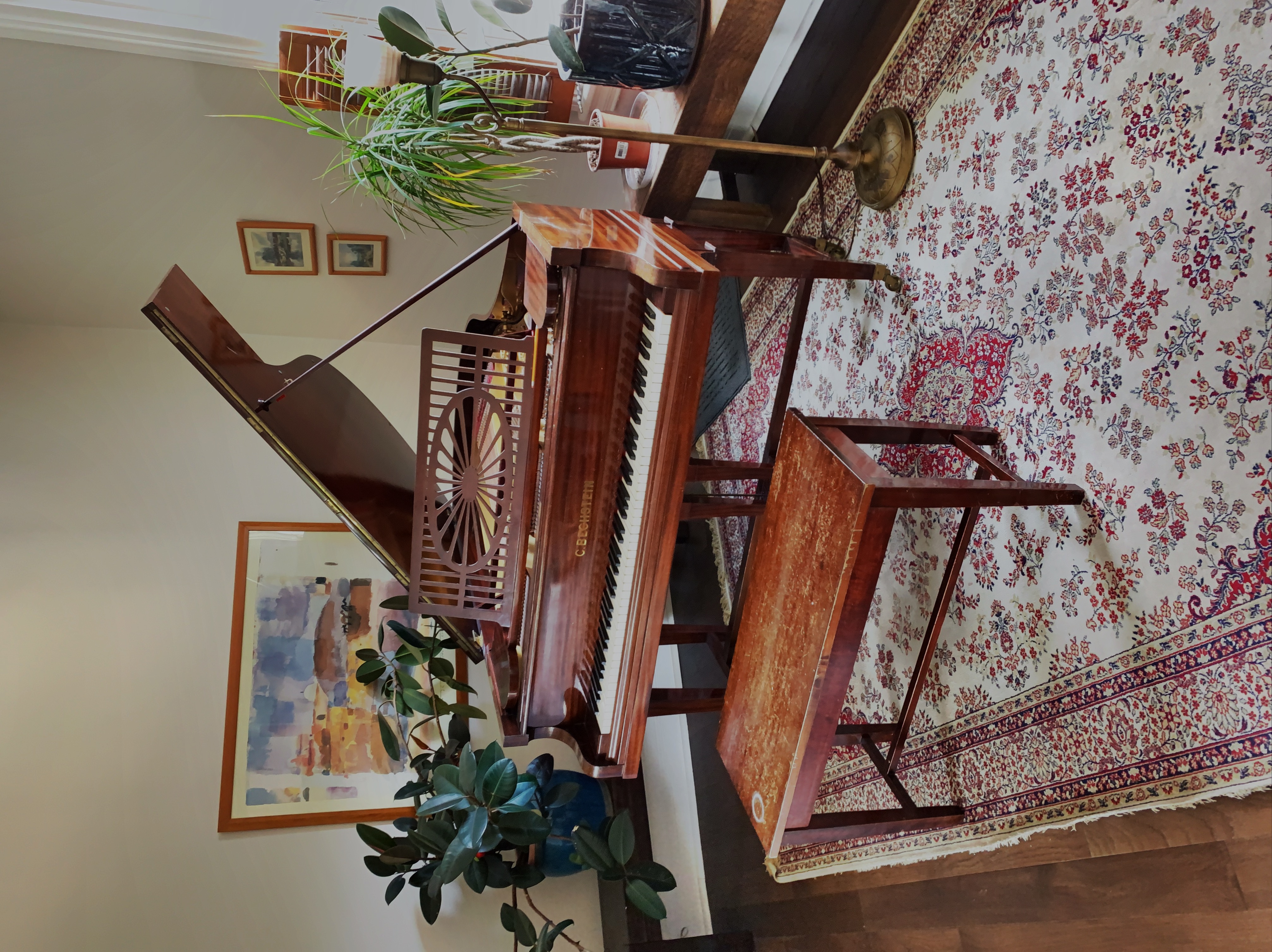 Piano lesson at Eric Greenwood Piano Studio